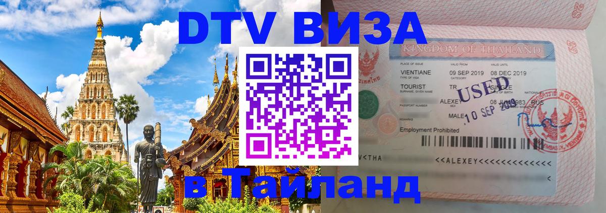Сколько стоит DTV виза — актуальные цены, оформление даже без документов - Северодвинск 
